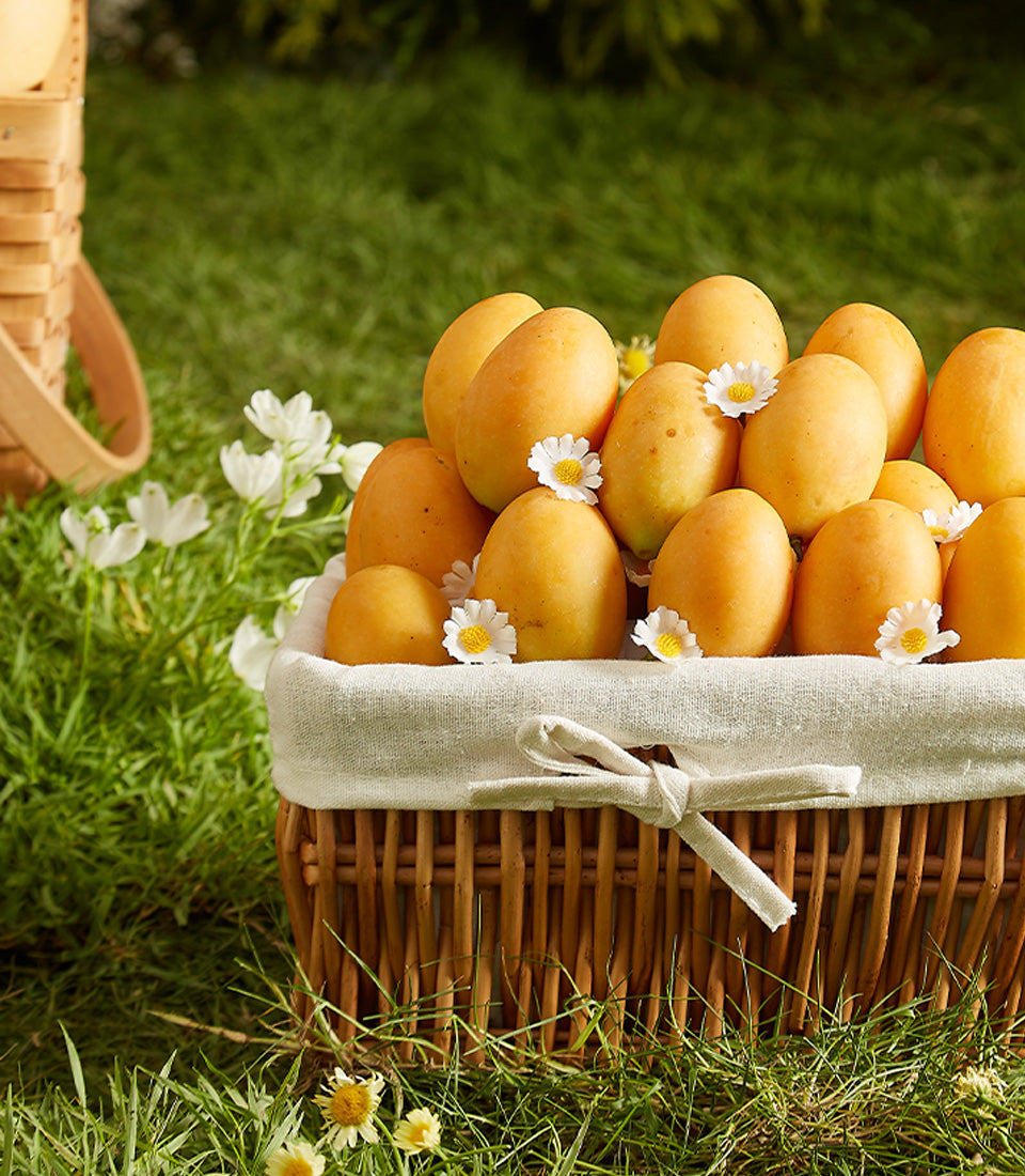 Premium yellow mango fruit basket with white daisies and wicker weave, perfect for Thai tropical gifting