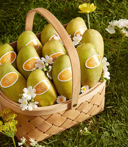 Summer Harvest Ok-Rong mango basket with fresh Thai tropical fruit in woven wood with white flowers