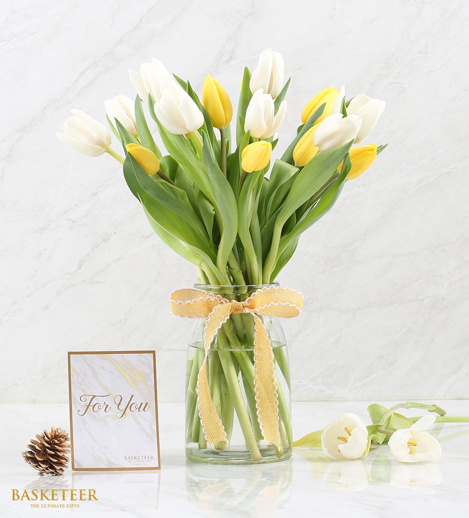 White and yellow tulips in clear glass vase with yellow ribbon bow, fresh flower gift arrangement