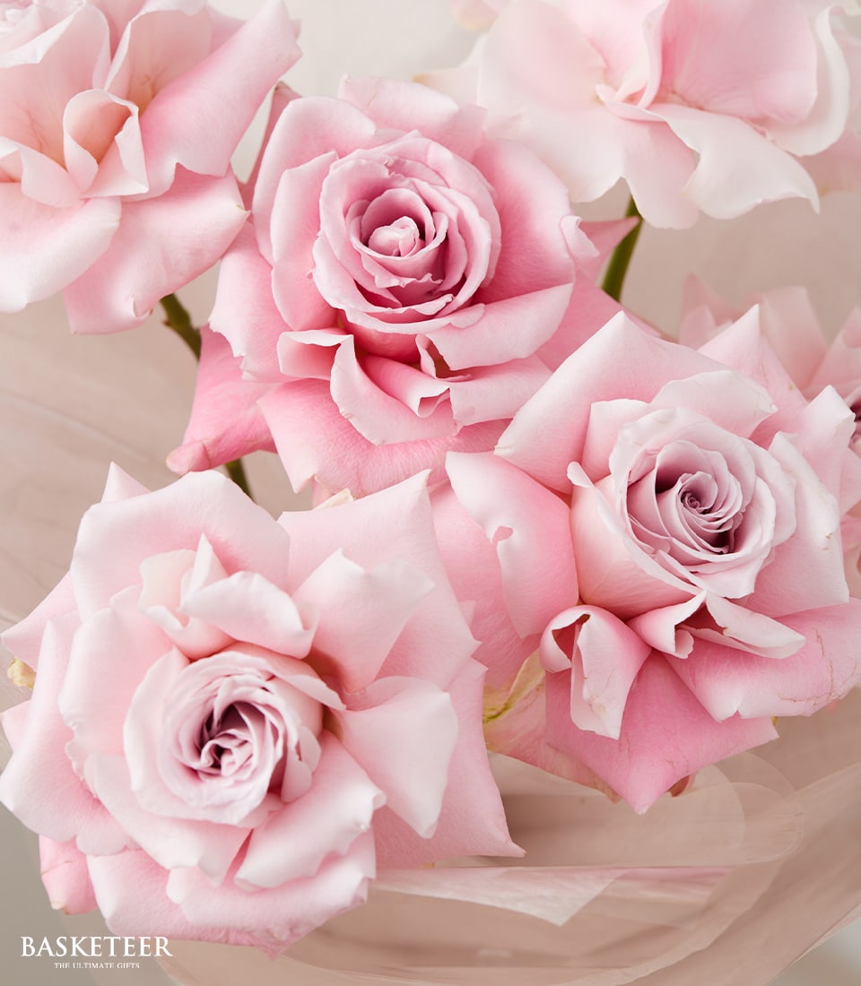 Blush pink rose bouquet with soft layered petals, elegantly wrapped for Valentine's Day gifting