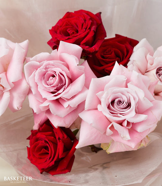 Blush and crimson rose bouquet with fresh Ecuador roses, romantic pink and red flowers wrapped in cellophane