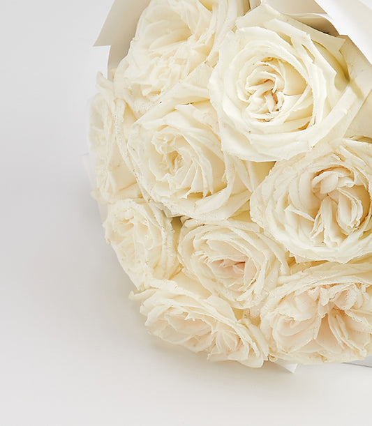 Creamy white rose bouquet with ruffled petals and subtle pink centers, wrapped in white paper for Valentine's Day