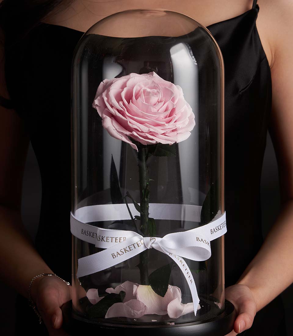 Single preserved pink rose from Flowers by Basketeer inside a glass dome with ribbon. A luxury Valentine rose gift for flower delivery Bangkok.