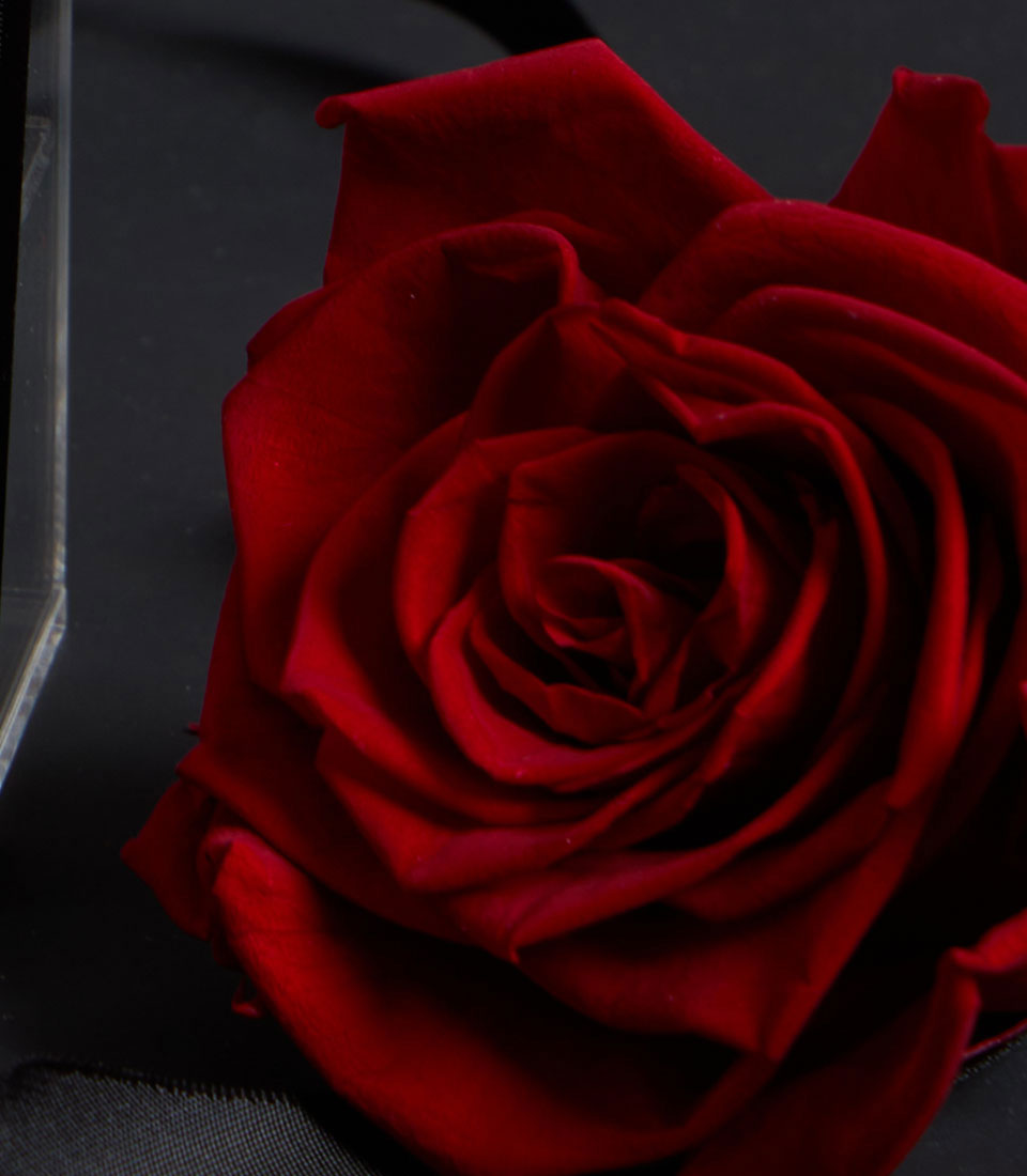 Eternal red preserved rose in acrylic VIP box, Valentine's Day luxury gift