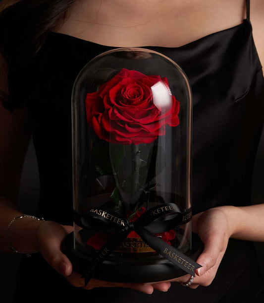 Preserved red rose in glass dome with black base, Valentine's Day gift