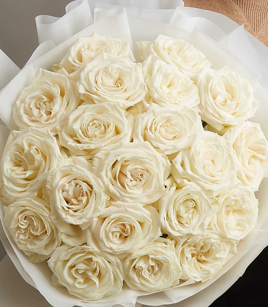Creamy white roses bouquet with pale yellow centers, wrapped in white paper for Valentine's Day
