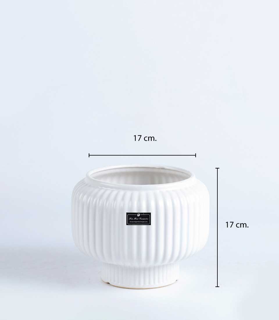 White ceramic vase with ribbed fluted design, 17cm height, premium gifting