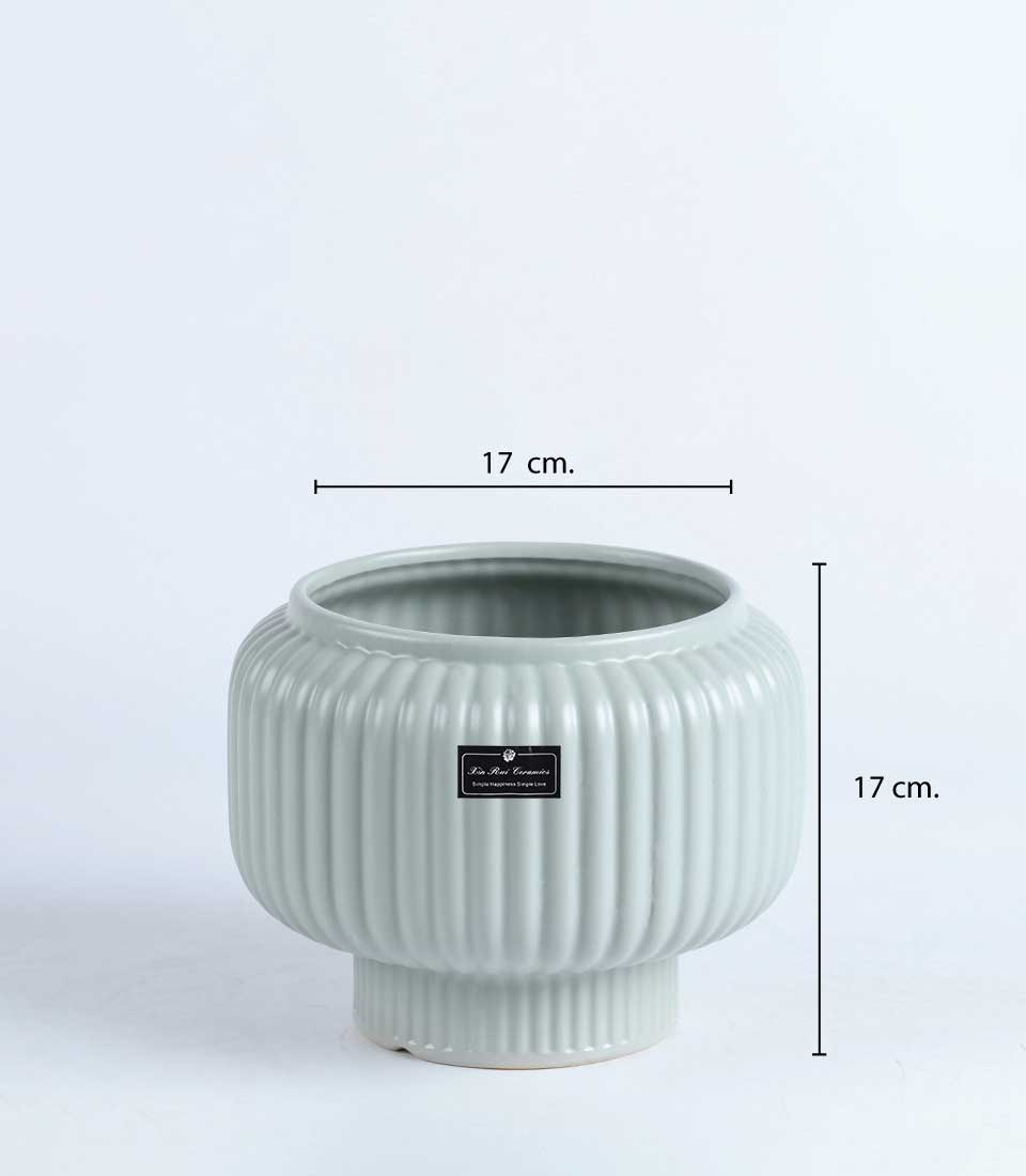 Soft blush orchid arrangement in grey-green ceramic ribbed planter, premium gift for new homes