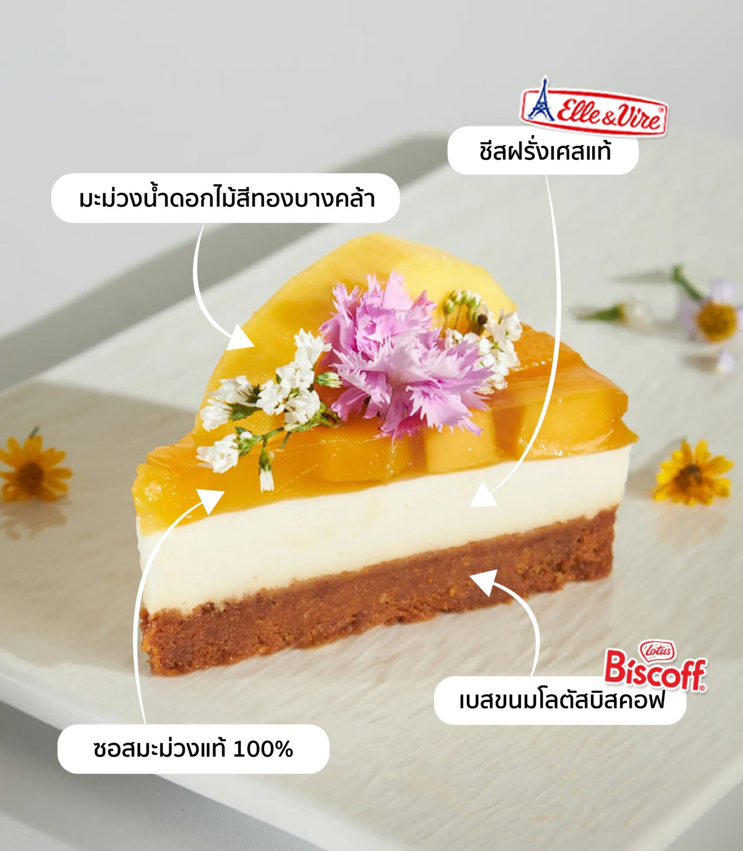Layered mango cheesecake slice with fresh mango, Biscoff base, French cheese, and edible flowers on white plate