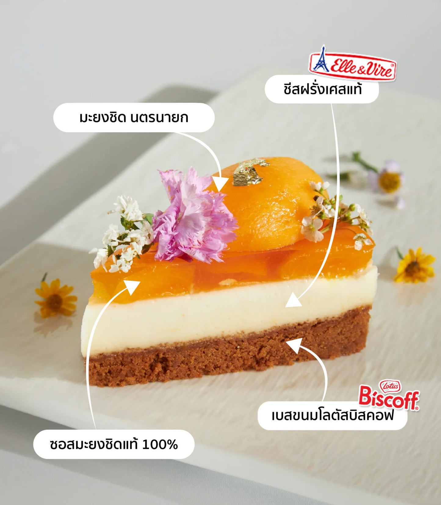 Biscoff cheesecake slice with creamy French cheese, Mayongchid fruit jelly, and gold leaf garnish