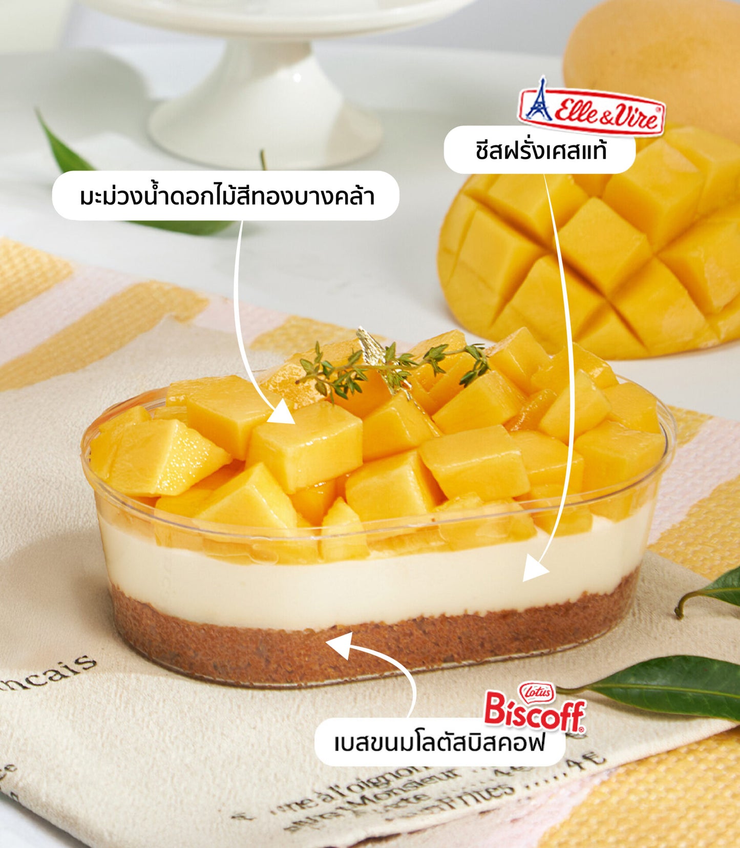 Mini summer fruit Biscoff cheesecake with fresh mango and creamy layers in gift container