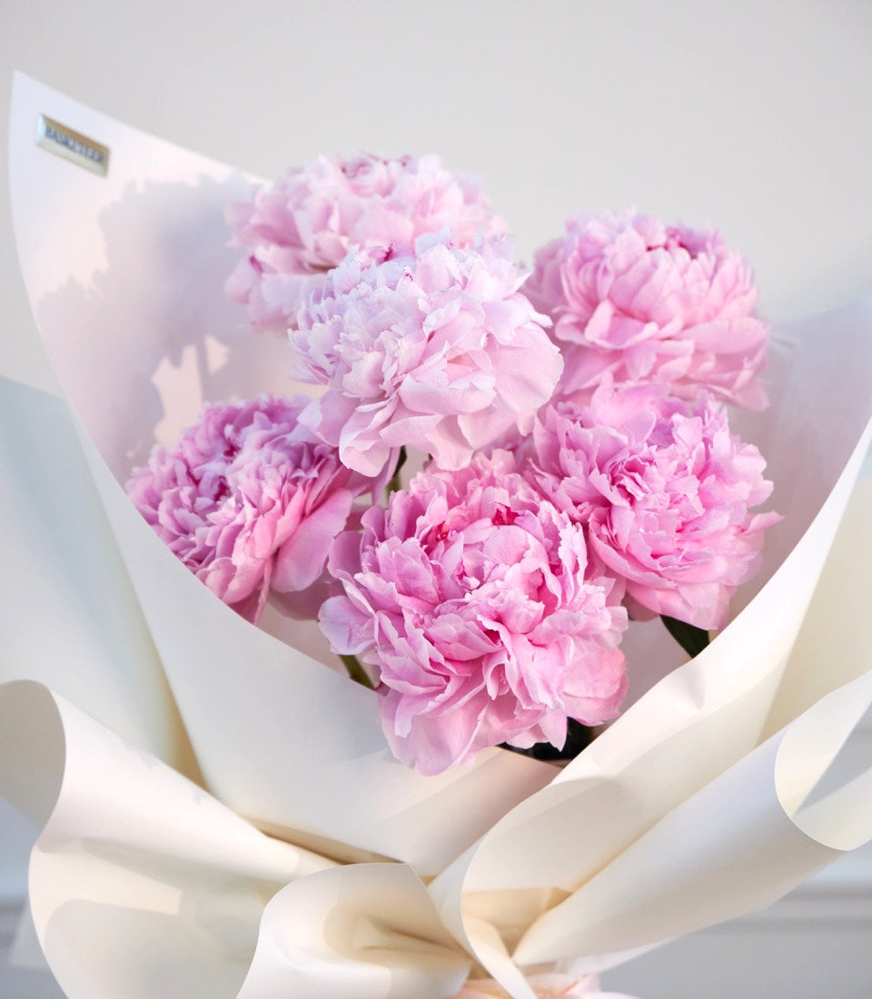 Pink peonies bouquet wrapped in white paper with cream ribbon bow, elegant floral gift arrangement.