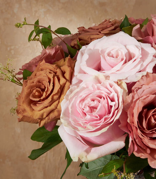 Velour Rose Harmony arrangement with soft pink, dusty rose, and terracotta roses in premium vase