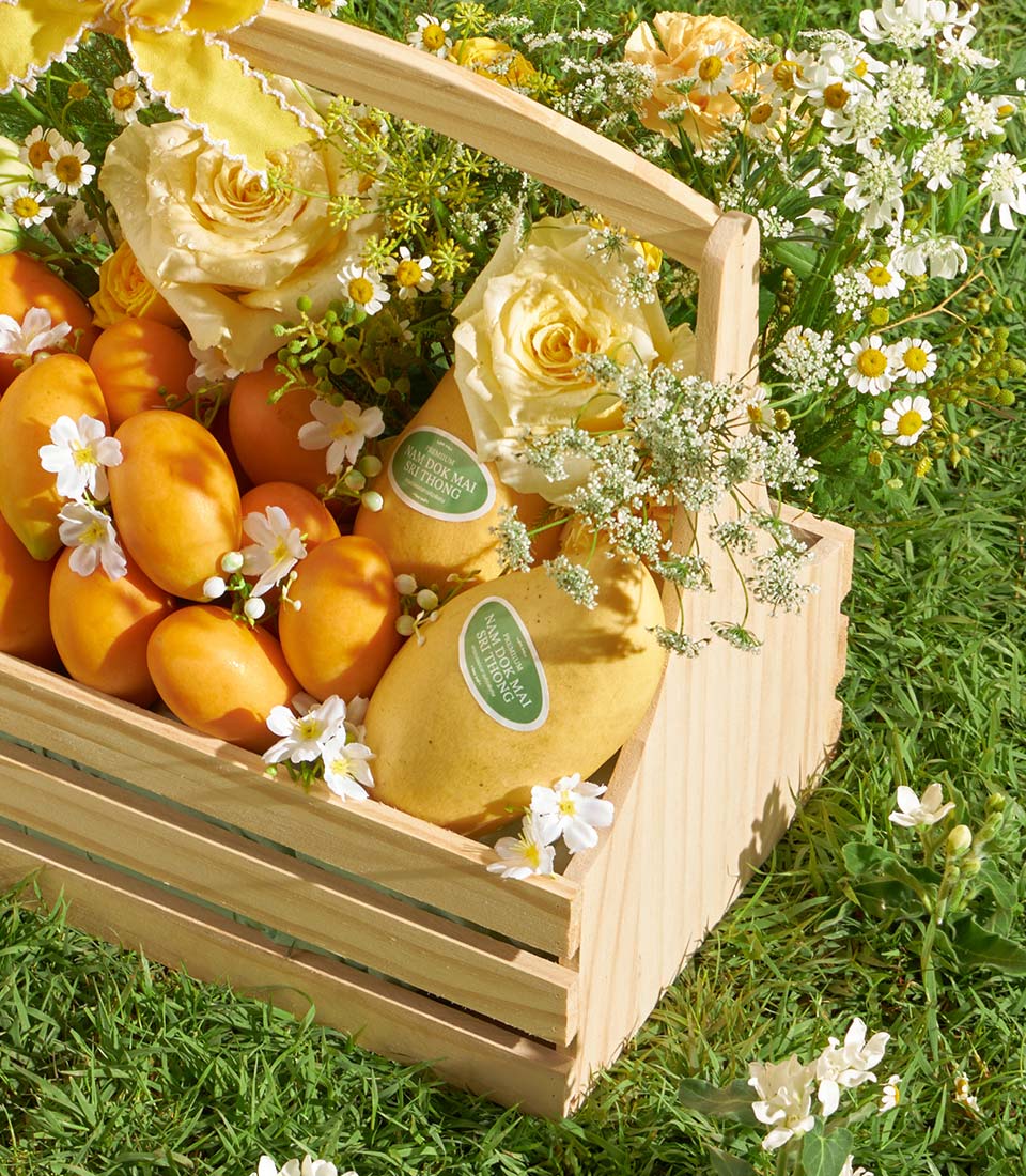 Premium Nam Dok Mai mangoes and white flowers in rustic wooden basket with yellow roses