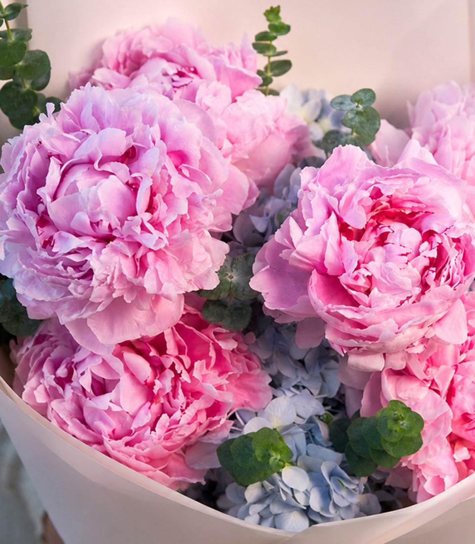 A romantic premium flower delivery Bangkok bouquet featuring lush soft pink peonies, delicate blue hyd