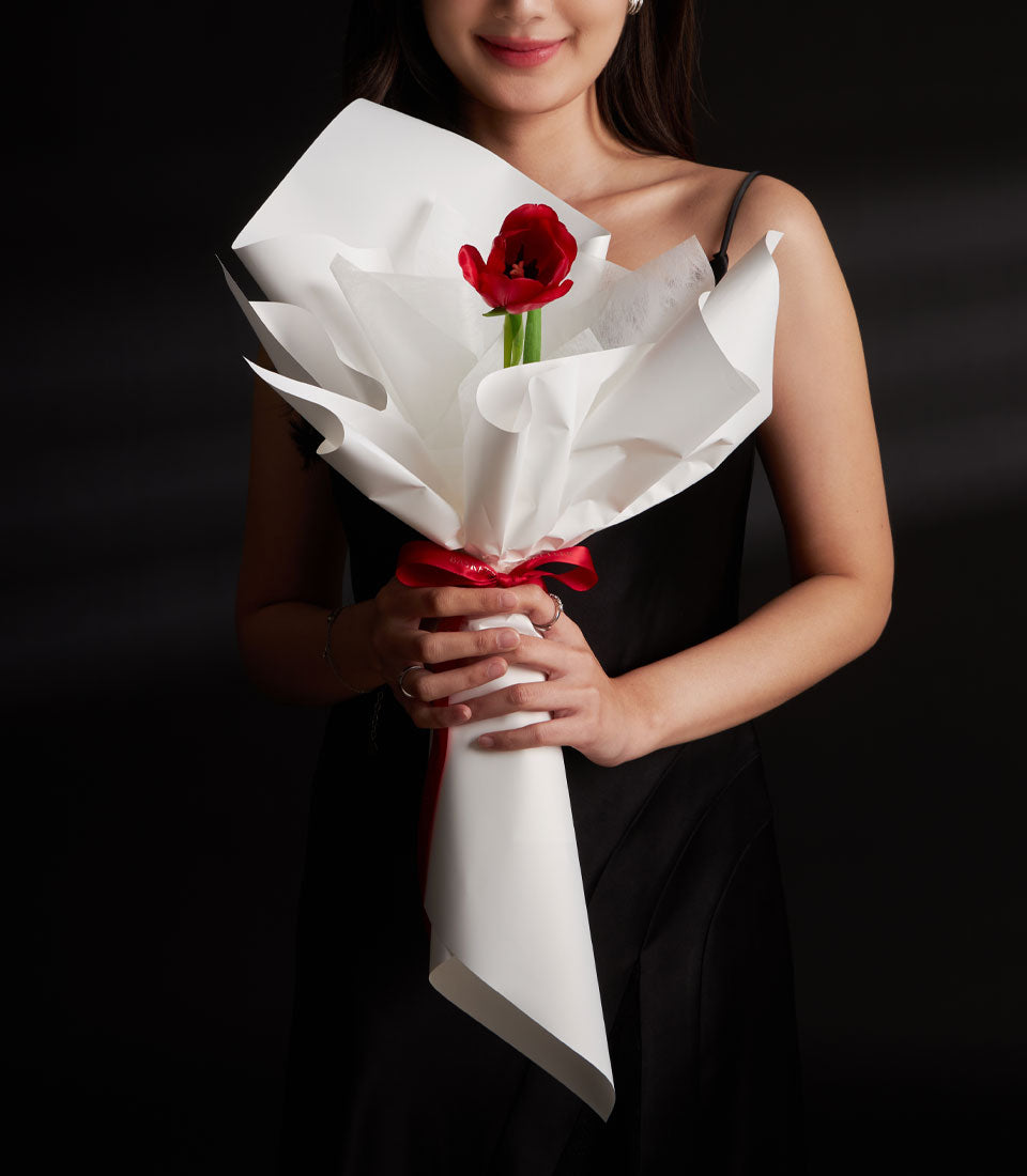 Red tulip with gypsophila, white paper wrap, and red ribbon bow for Valentine's Day
