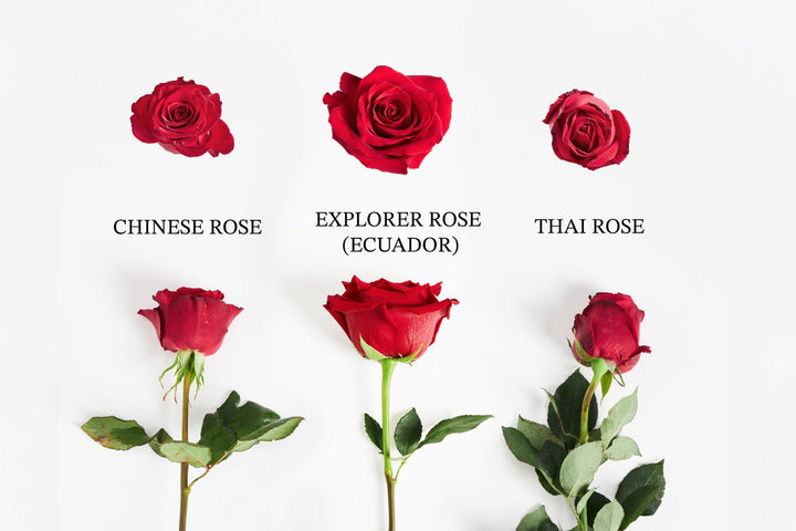 Flowers by Basketeer: Bringing the World’s Finest Red Roses to Bangkok Thailand