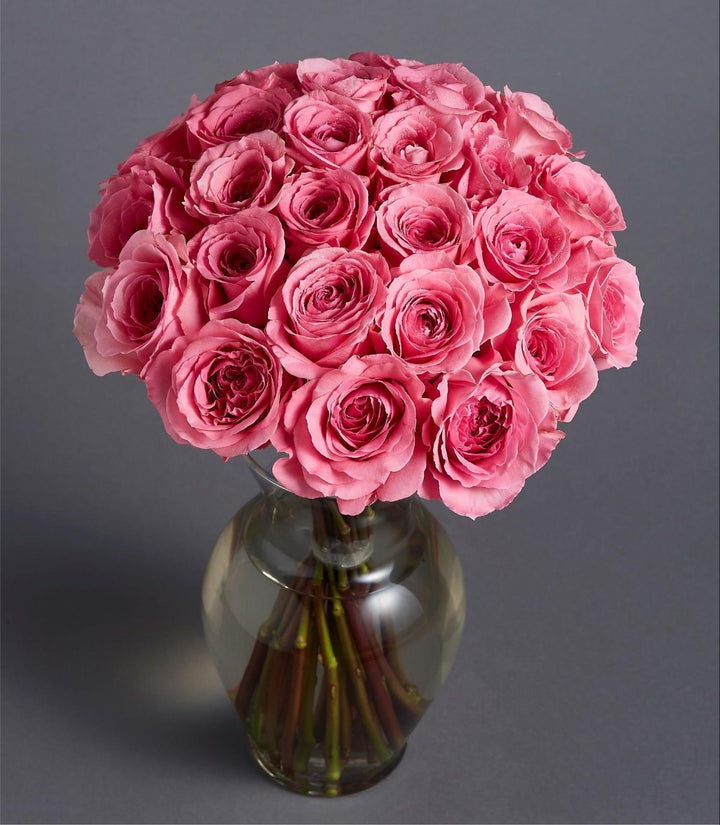 15 Types of Pink Flowers: Meanings and Gifts for Various Occasions