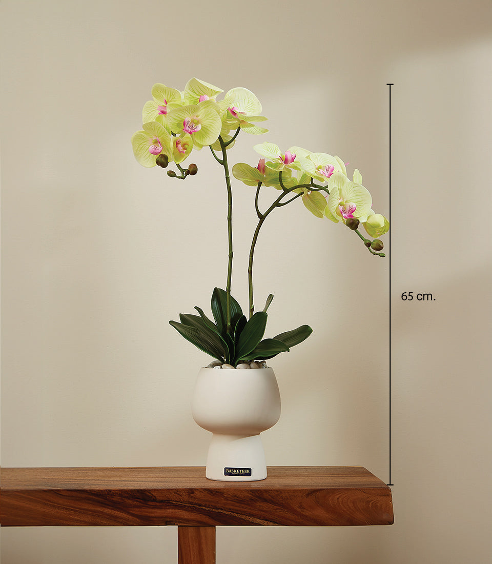 Lime green and pink faux orchid in white ceramic pot with decorative stones, 65cm tall