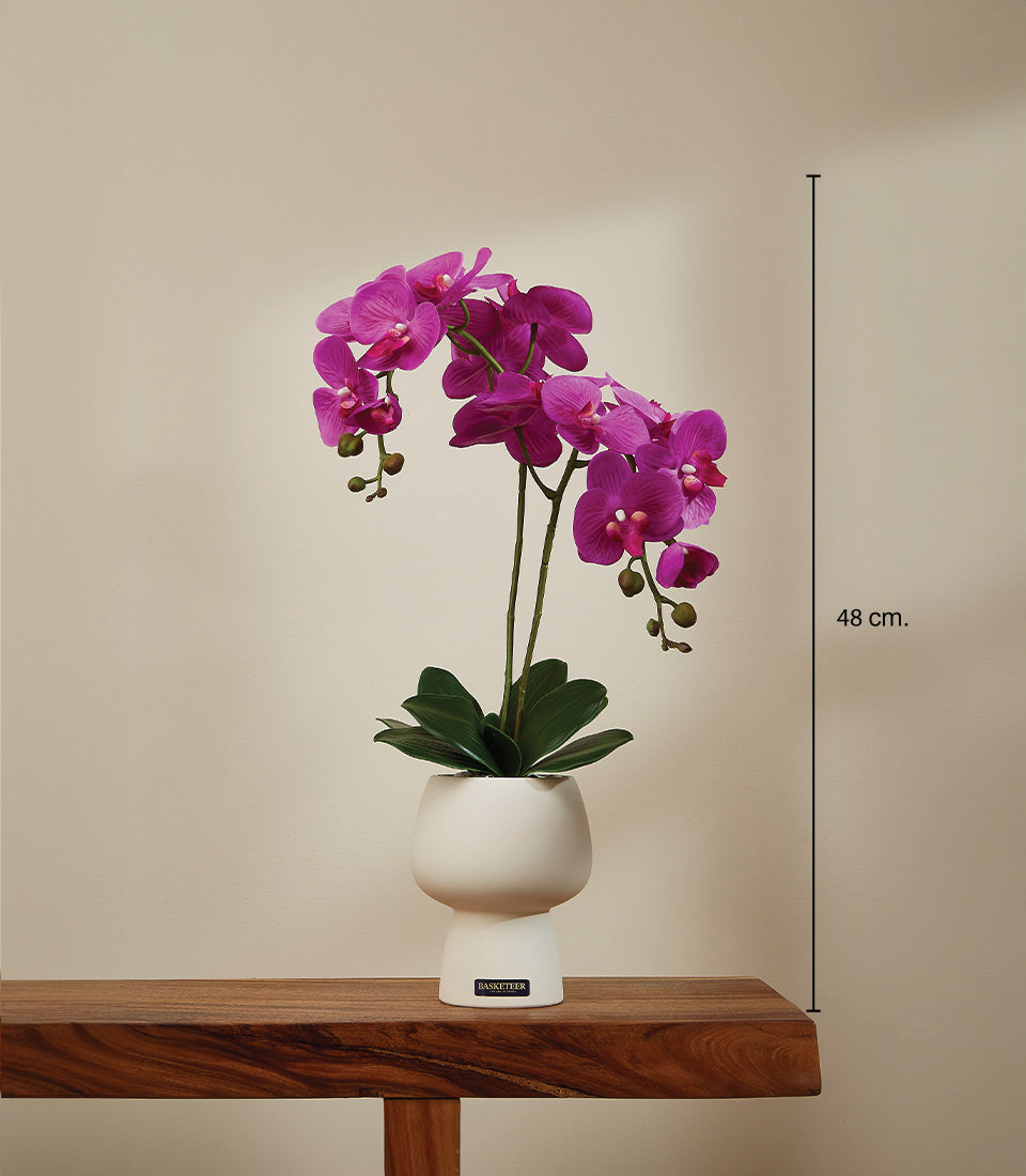 Vibrant fuchsia artificial orchid plant in white ceramic vase, 48cm tall, premium gift