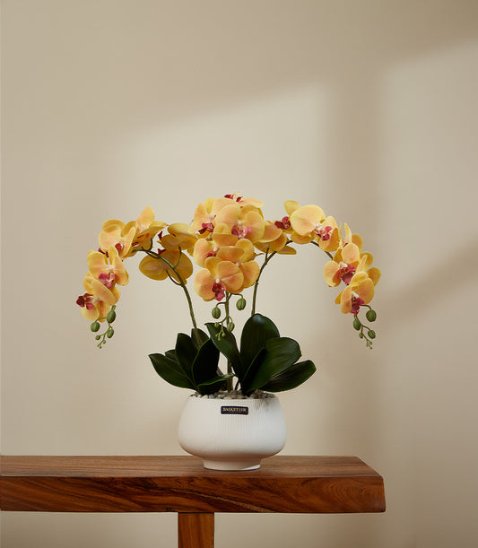 Golden Sunrise yellow-orange phalaenopsis orchids with pink centers in white ceramic pot, artificial flower arrangement for