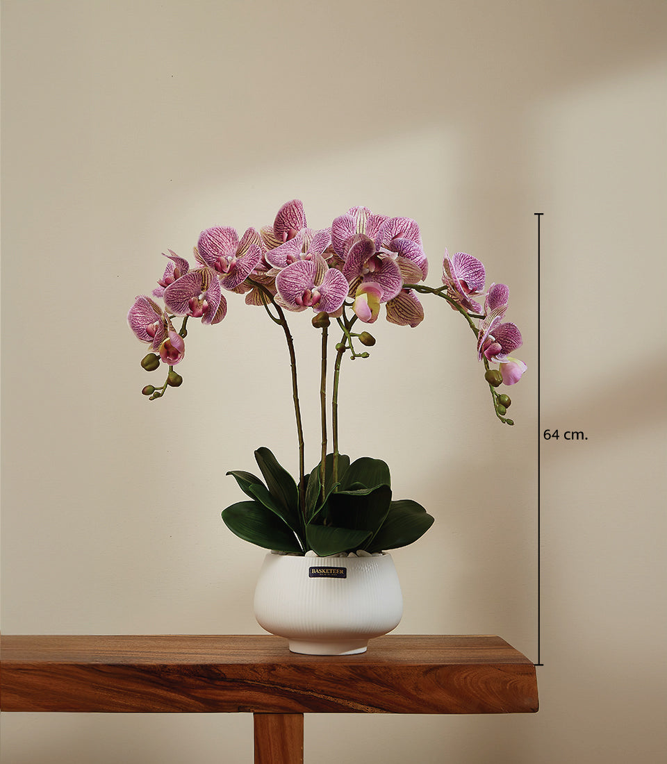 Purple and white striped phalaenopsis orchid with yellow centers in white ceramic pot, 64cm tall artificial flower