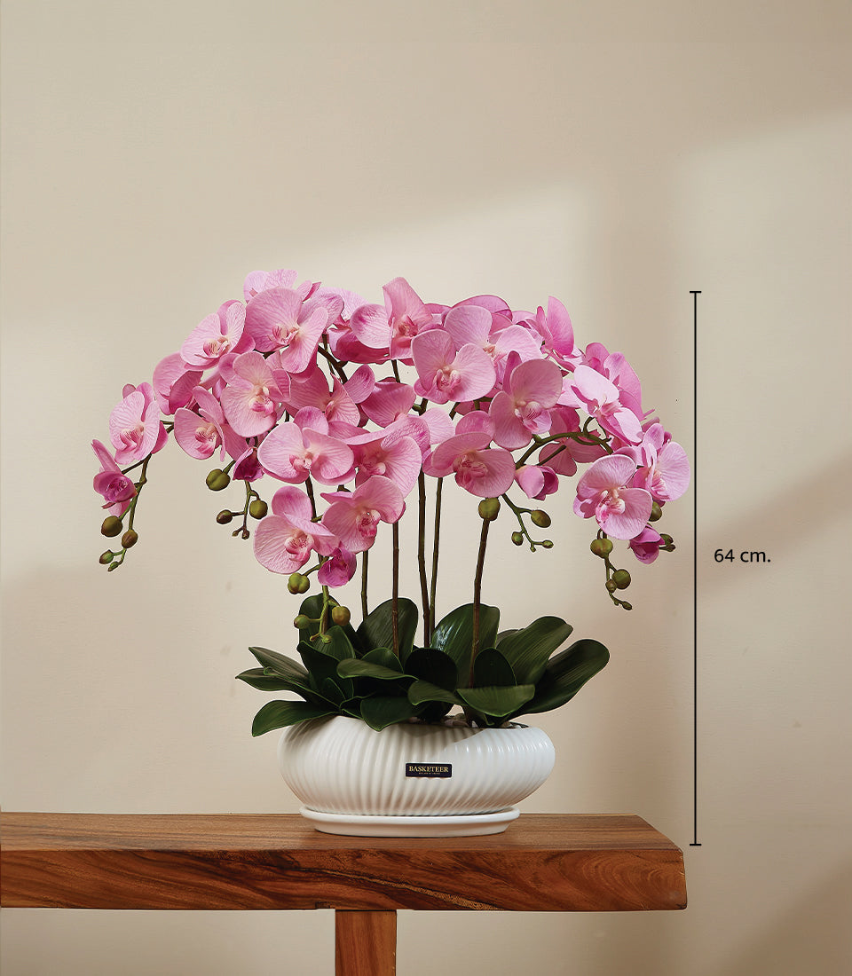 Lush pink phalaenopsis orchid arrangement in white ceramic ribbed planter, 64cm tall
