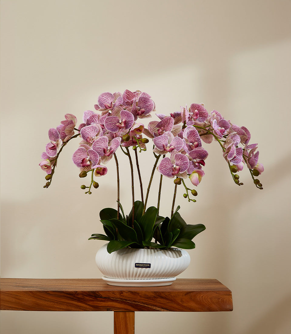 Lilac purple artificial orchids with dark striped petals in white ceramic planter, ideal for congratulations or new home