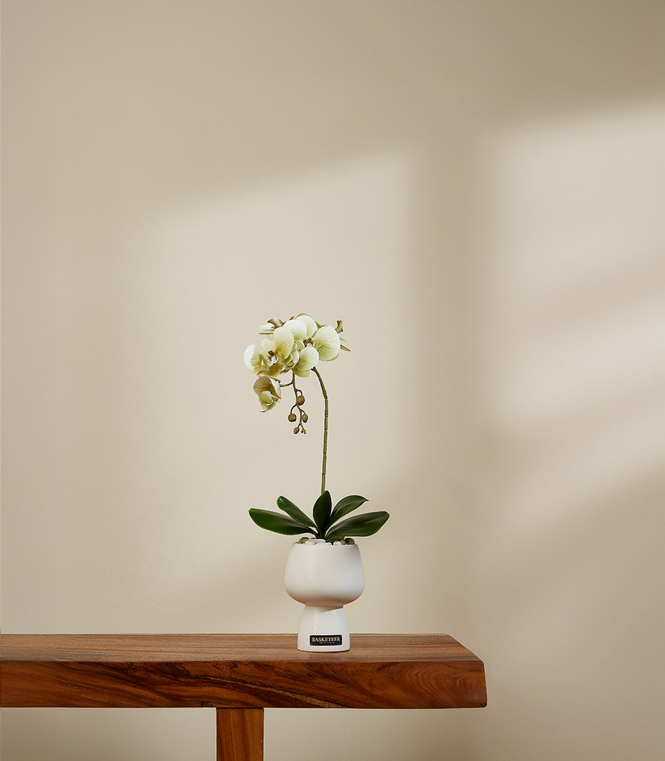 Light green artificial orchid in white ceramic vase with modern tiered design, potted gift with decorative stones