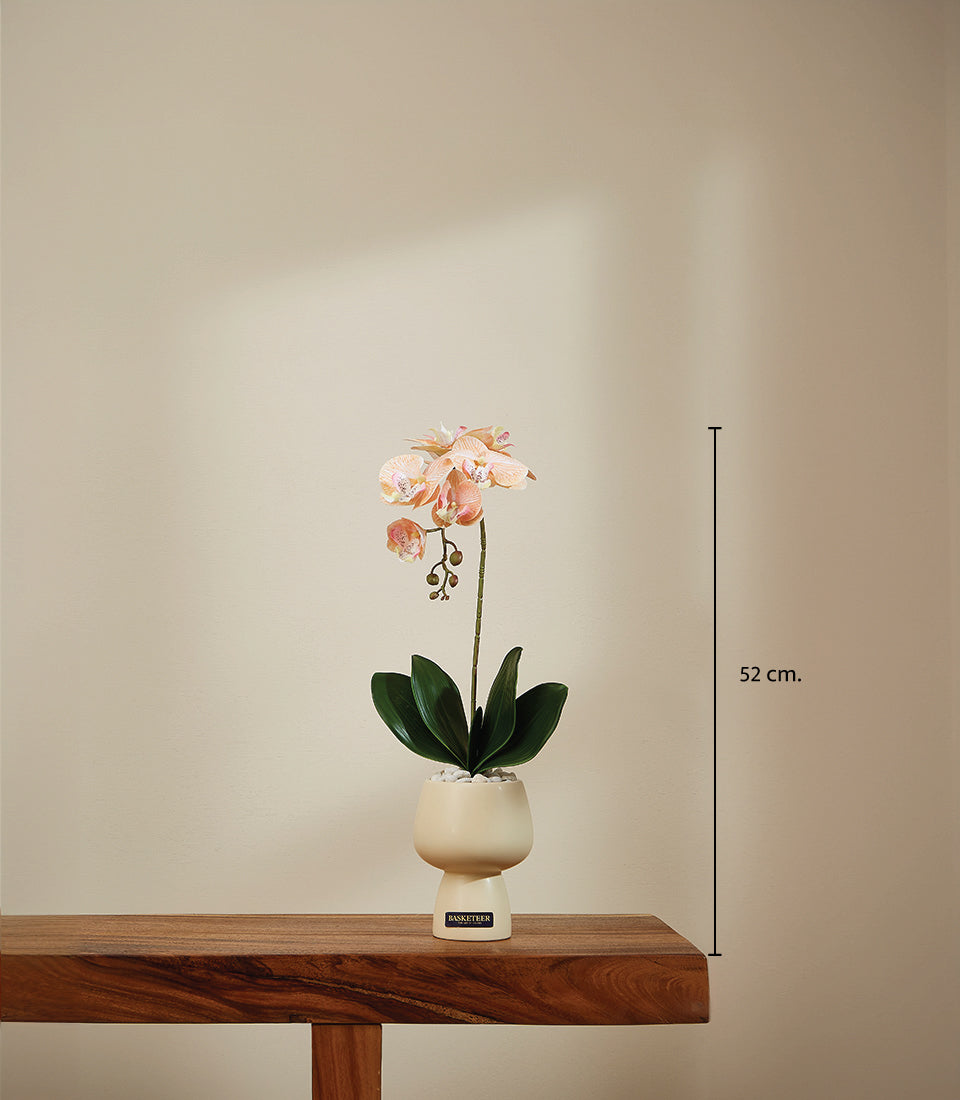 Peach artificial orchid in cream ceramic pot, 52cm tall luxury gift plant