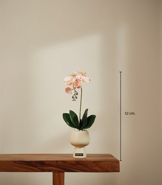 Peach artificial orchid in cream ceramic pot, 52cm tall luxury gift plant