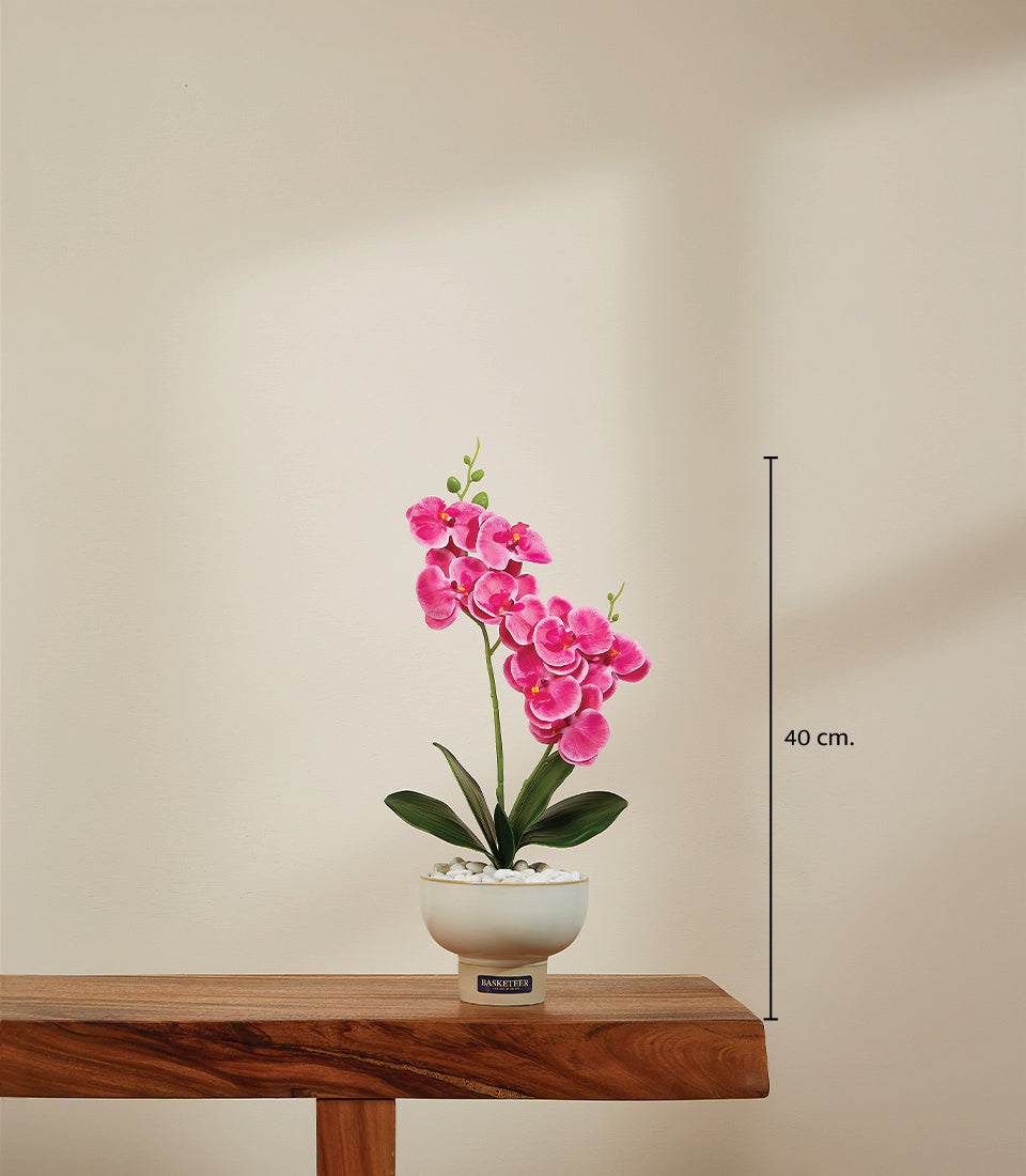 Vibrant pink artificial orchid in white ceramic pot with green leaves and white pebbles