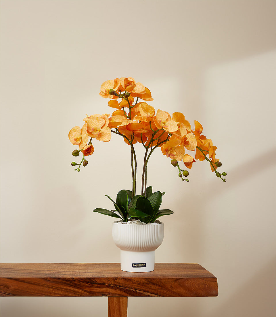 Vibrant orange potted orchid arrangement in white ceramic vase with green stems and leaves