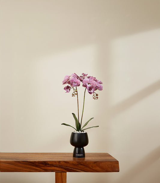 Elegant purple-pink artificial orchid in black ceramic pot with decorative stones, premium potted flower gift
