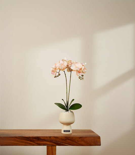 Cream ceramic pot with light pink faux orchid and dark green leaves, minimalist gift arrangement