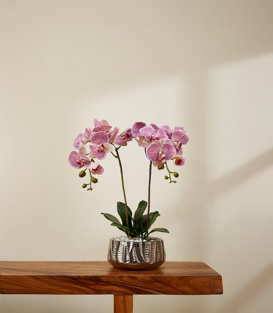 Faux purple phalaenopsis orchid with pink and white striped blooms in silver hammered planter