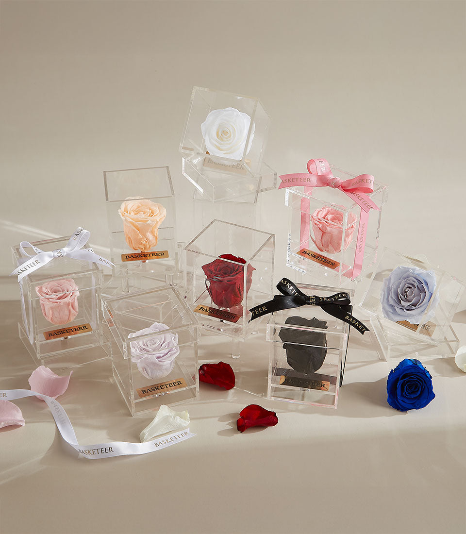 Eternal Single Preserved Rose Collection in white, peach, pink, purple, red, and black with branded ribbon bows