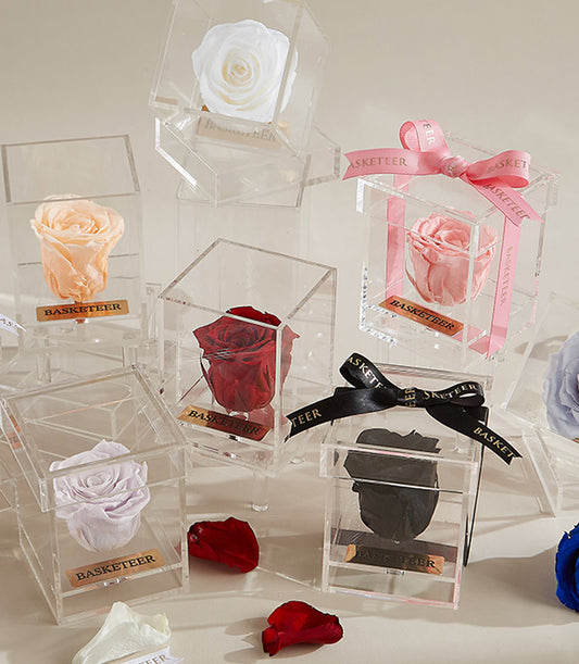 Preserved roses in multicolour acrylic boxes with ribbons and wooden plaques, elegant eternal flower gift collection