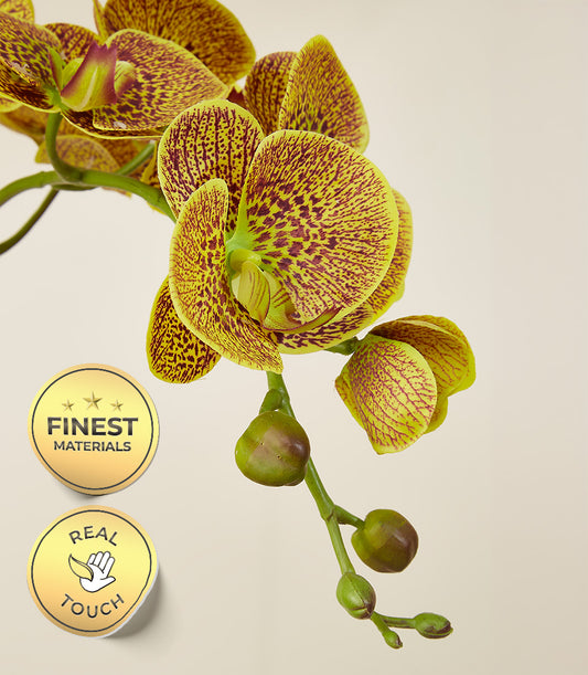 Speckled yellow orchid stem with maroon stripes, premium artificial flowers for gifting