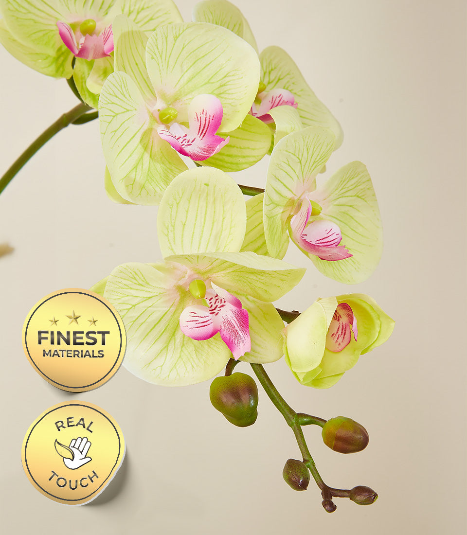 Lime-green potted orchids with fuchsia centers, realistic artificial blooms on dark green stem