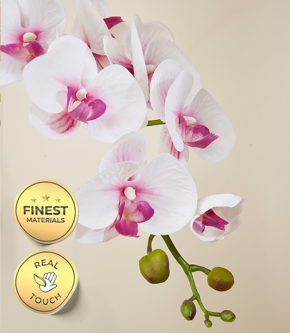 Premium white and pink orchid stem with real-touch petals, elegant potted plant gift