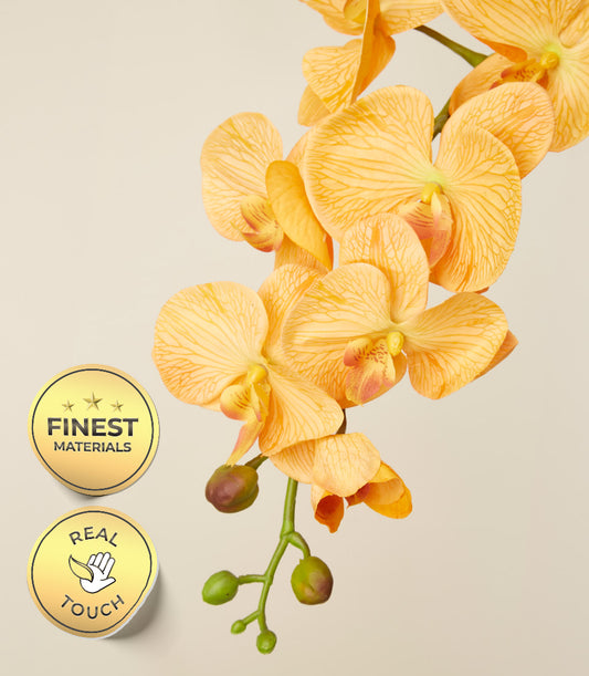 Golden Sunrise potted orchids with Real Touch texture, vibrant orange-yellow petals and green buds for elegant gifting