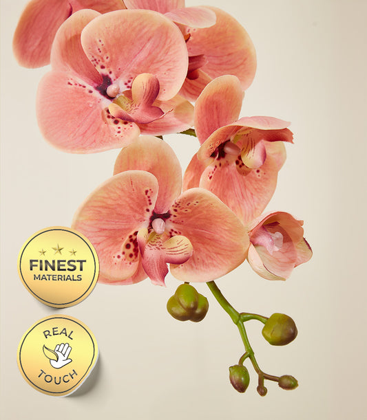 Peach orchid potted arrangement with realistic touch petals and green stems, luxury gift flowers
