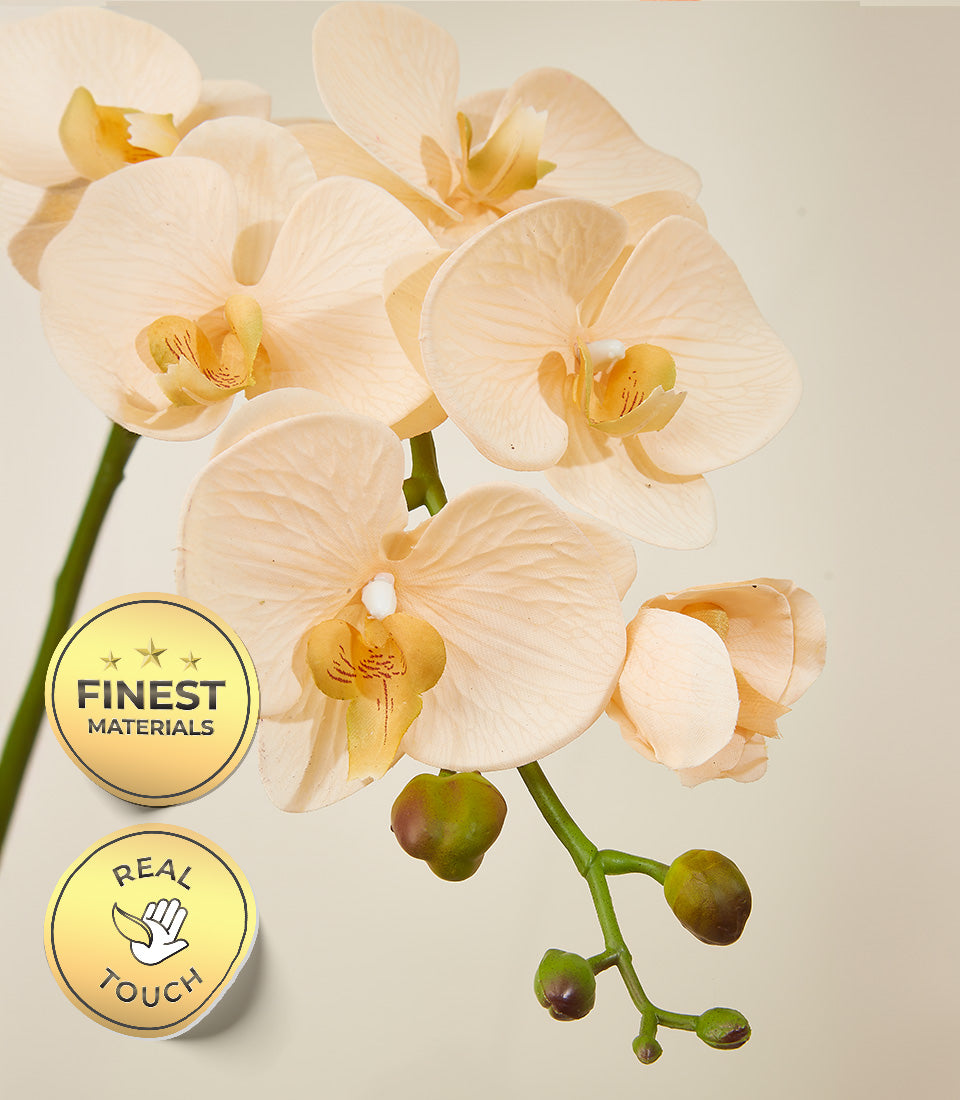 Creamy peach potted orchids with real-touch petals and gold accents, artificial flower arrangement for home decor