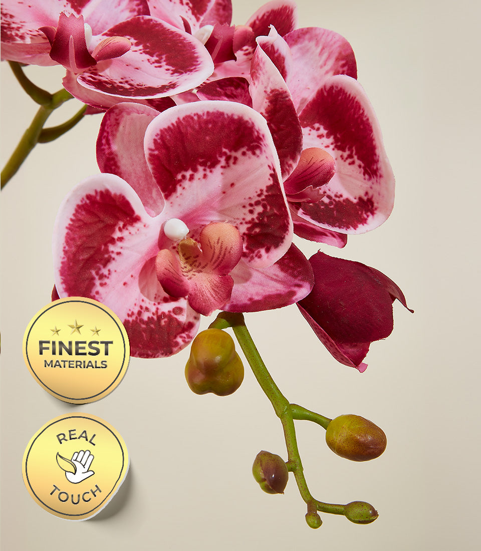 Vibrant pink and magenta potted orchids with real touch petals, ideal for lasting home décor gifts