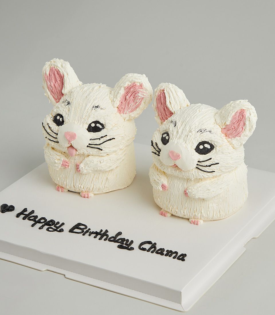 Twin chinchilla buttercream birthday cake with white frosting mice and personalised message
