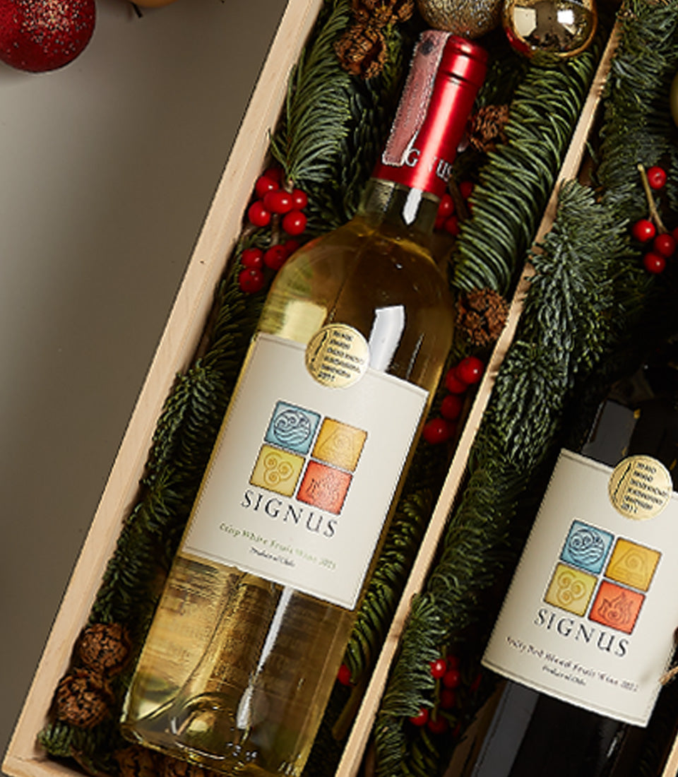 Festive dual wine gift box with red and white wine bottles, holiday greenery, berries, and pine cones
