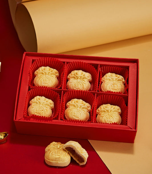 Lucky pineapple cakes six-piece gift set with gold pastries in red box, fortune character detail