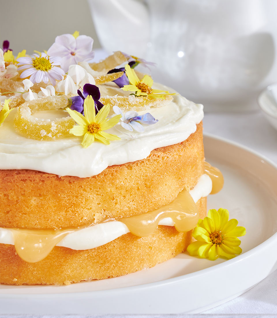 Zesty lemon drizzle cake with white frosting, edible flowers, and candied lemon garnish on white plate
