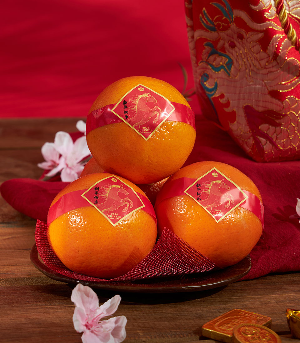 Mandarin orange gift bag with lucky gold coins and dragon embroidery for Chinese New Year 2026